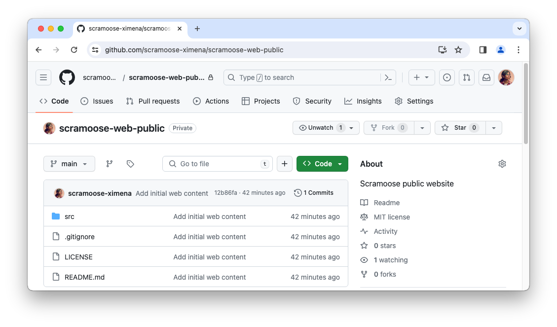 GitHub repo after publish