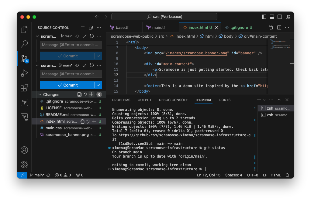 VS Code stage all button
